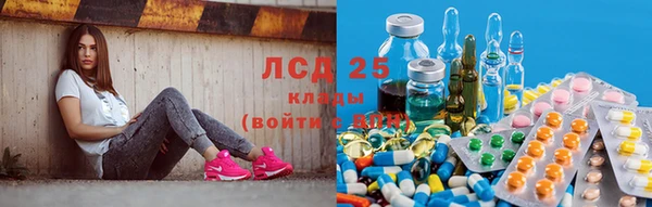 jwh Новодвинск