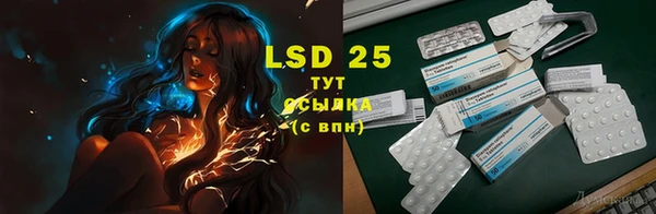 PSILOCYBIN Новозыбков