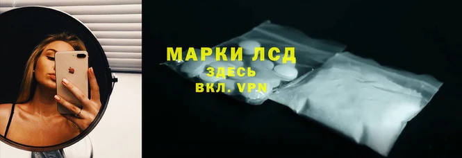 гашик Новокубанск