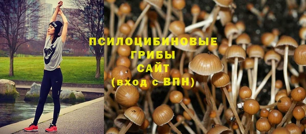 гашик Новокубанск