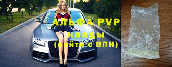 гашик Новокубанск