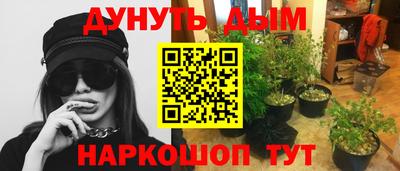 сатива Бийск