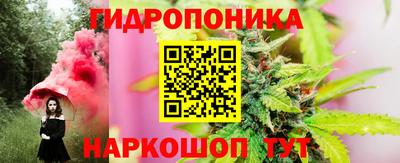 сатива Бийск