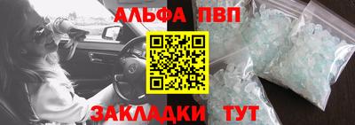 сатива Бийск