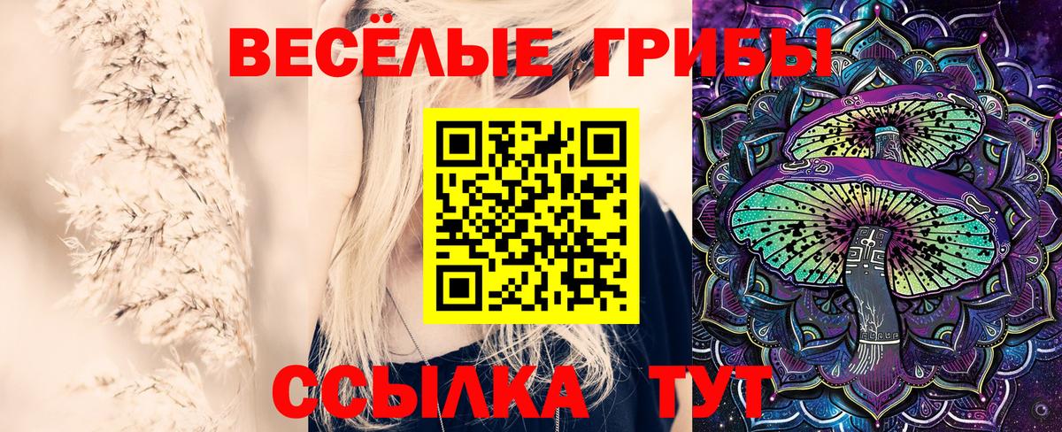 Галлюциногенные грибы прущие грибы  Заводоуковск 