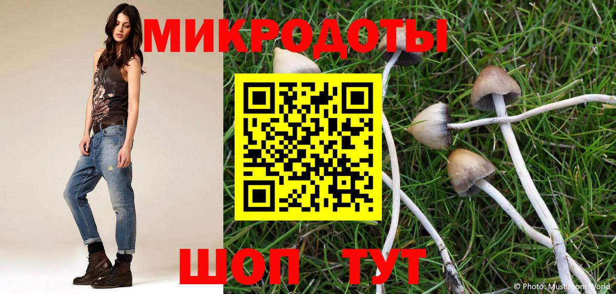 Заводоуковск  Псилоцибиновые грибы мицелий  Вход с VPN 