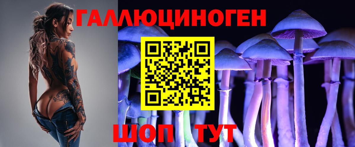 Псилоцибиновые грибы GOLDEN TEACHER Заводоуковск