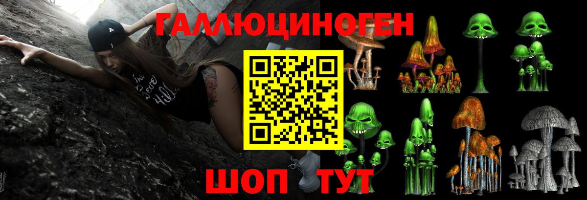 Галлюциногенные грибы MAGIC MUSHROOMS Заводоуковск